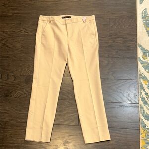 Zara Women’s Beige Pencil  Pants